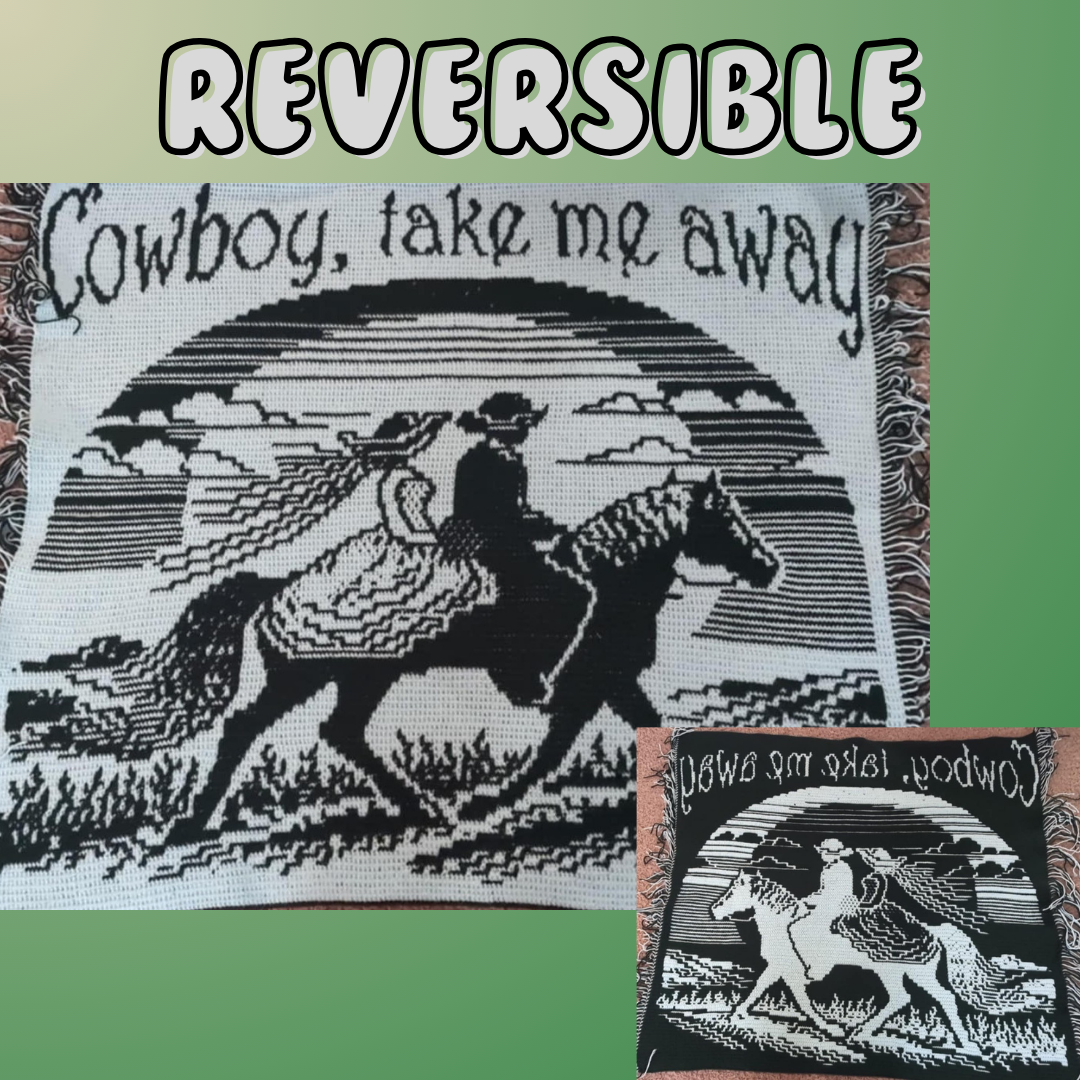 Cowboy Take Me Away Mosaic Crochet Pattern - Image 2
